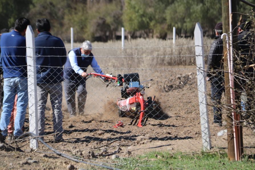 17 agricultores salamanquinos son beneficiados con los procesos productivos de tecnificación de INDAP