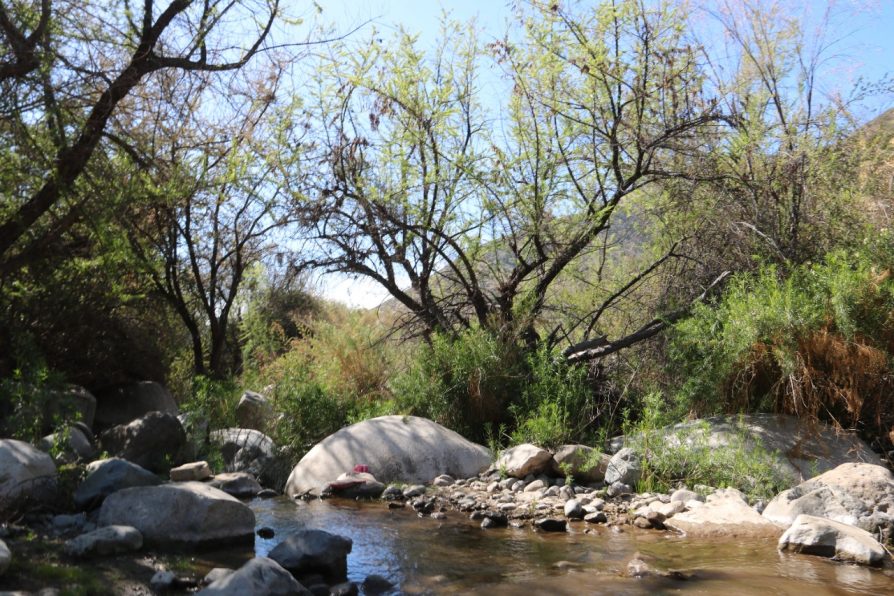 Delegado Provincial de Choapa entabló denuncia por presunto hurto de un millón de m³ de agua