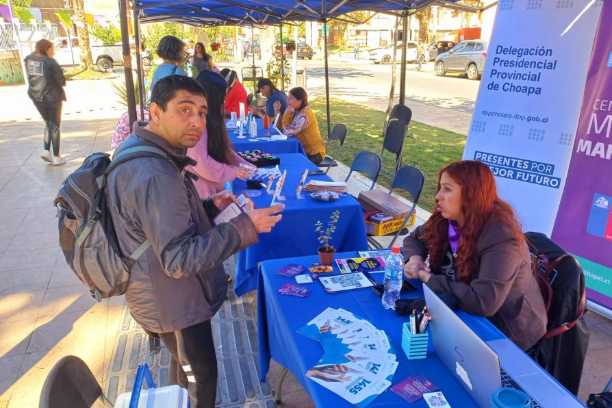 Conmemoran “Día Internacional de la No Violencia Contra la Mujer” en plaza de armas de Illapel  