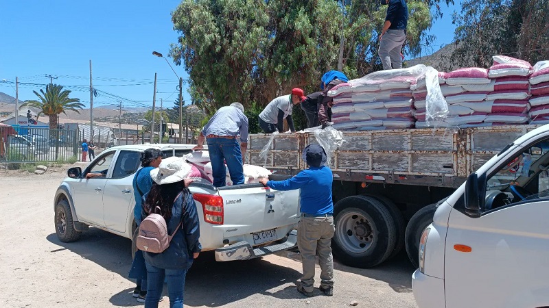 338 productores/as caprinos de Illapel reciben recursos de emergencia para reactivar sus unidades productivas