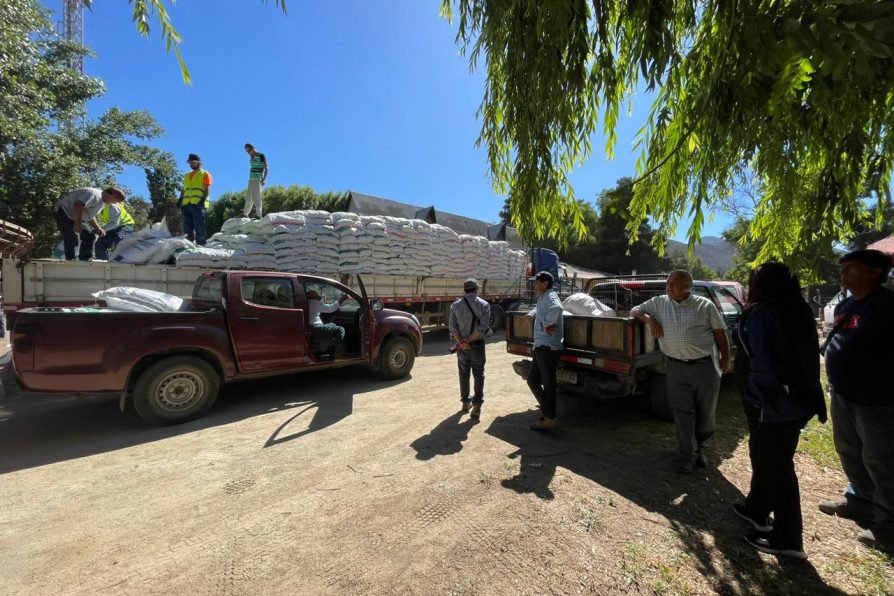 Entregan Recursos de Emergencia a 224 productores de Salamanca