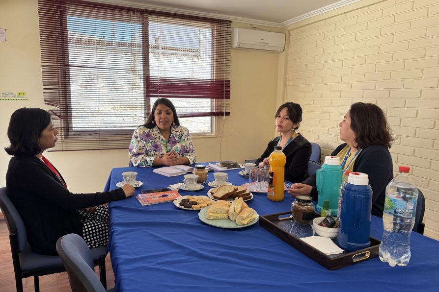 Gobierno impulsa trabajo conjunto con Oficinas de la Mujer en Choapa