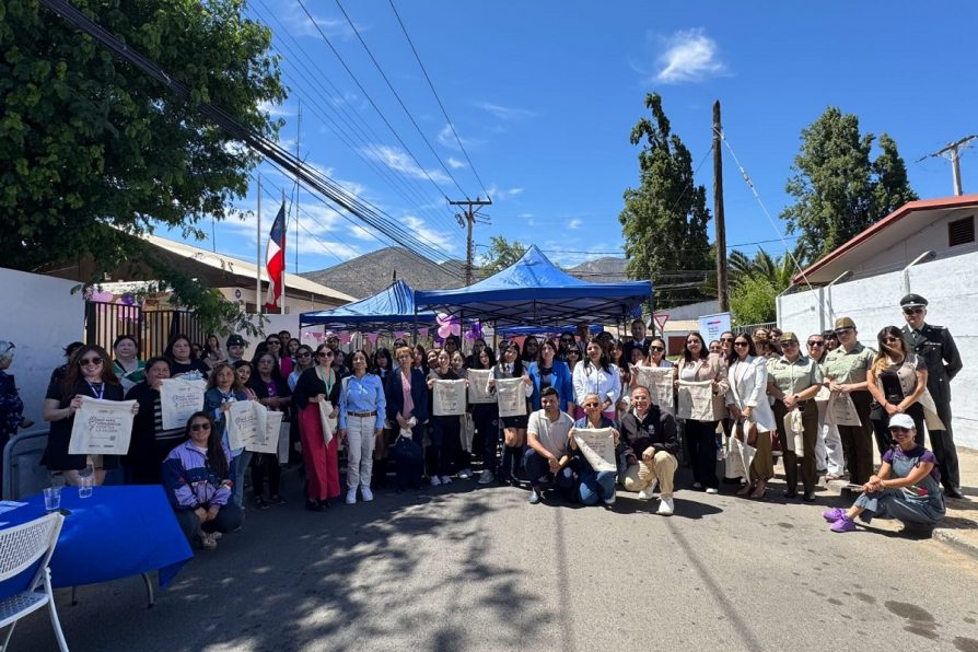 Delegación Presidencial de Choapa desarrolla actividad enmarcada en la eliminación de la violencia contra la mujer