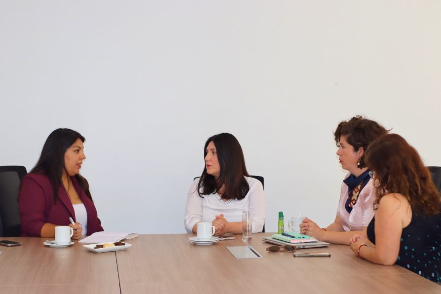 Delegada Presidencial y Seremis destacan avances del Gobierno en la provincia del Choapa